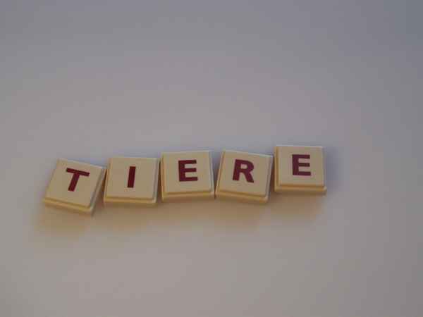 Wortbild Tiere