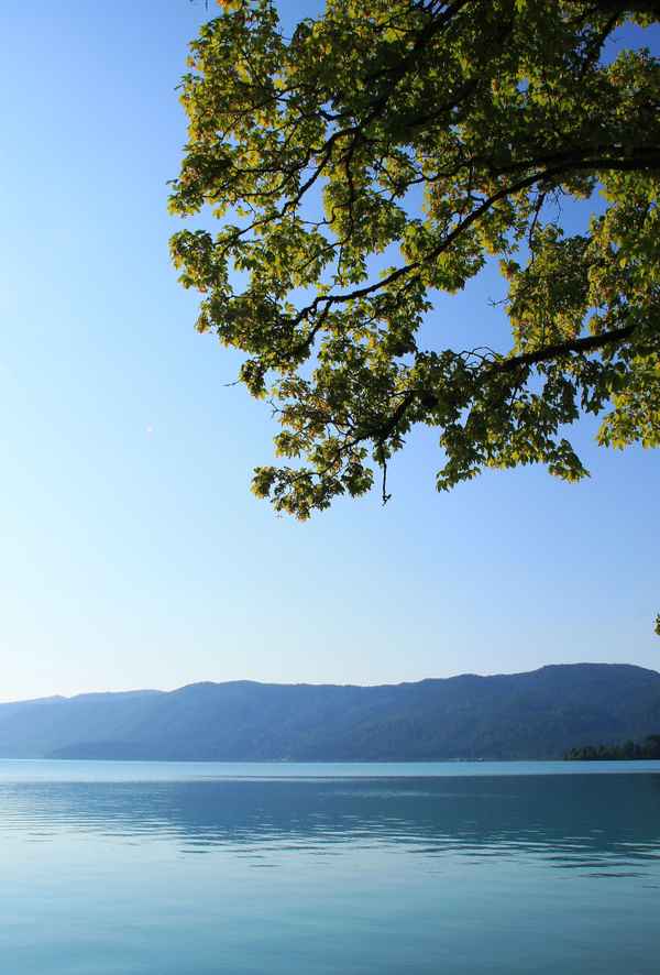 Ein Sommermorgen am See 05