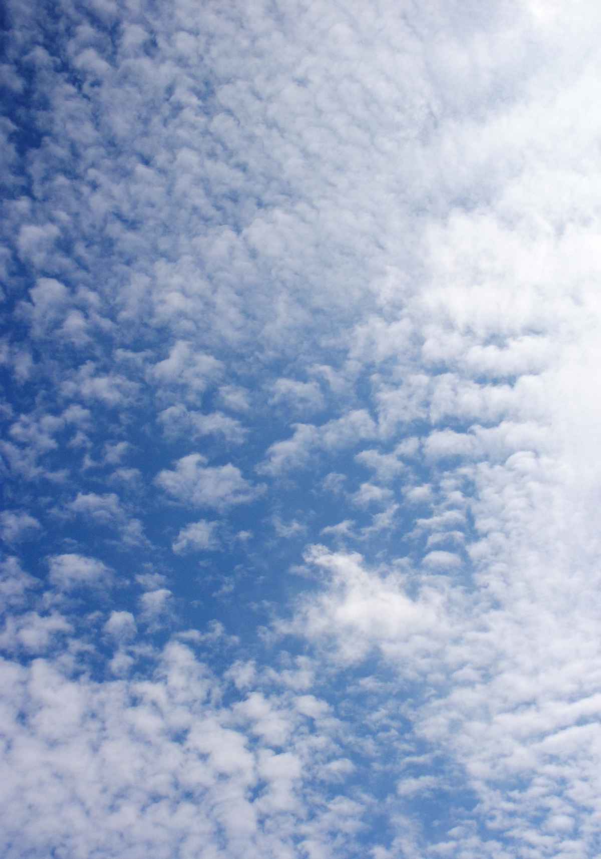 Schäfchenhimmel 1/2