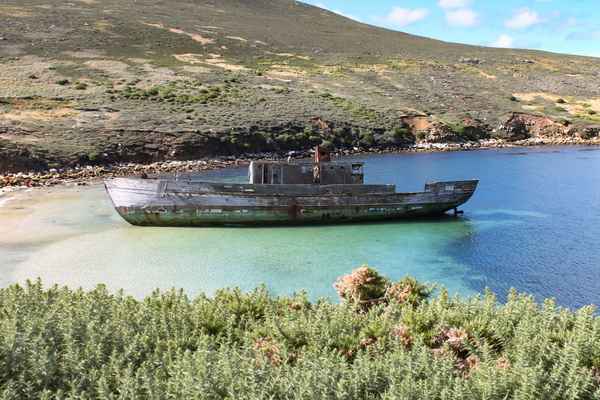 Gestrandetes Schiff auf den Falklandinseln