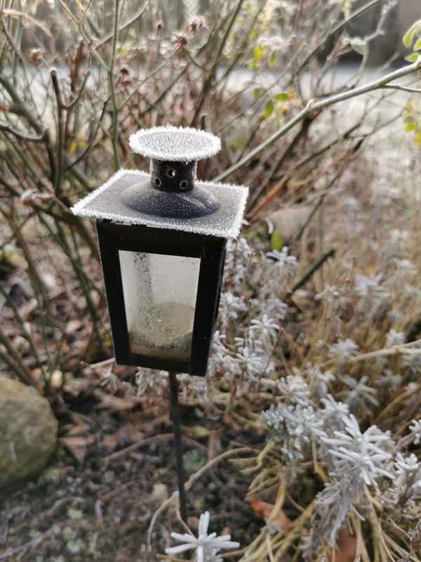 Frostige Laterne