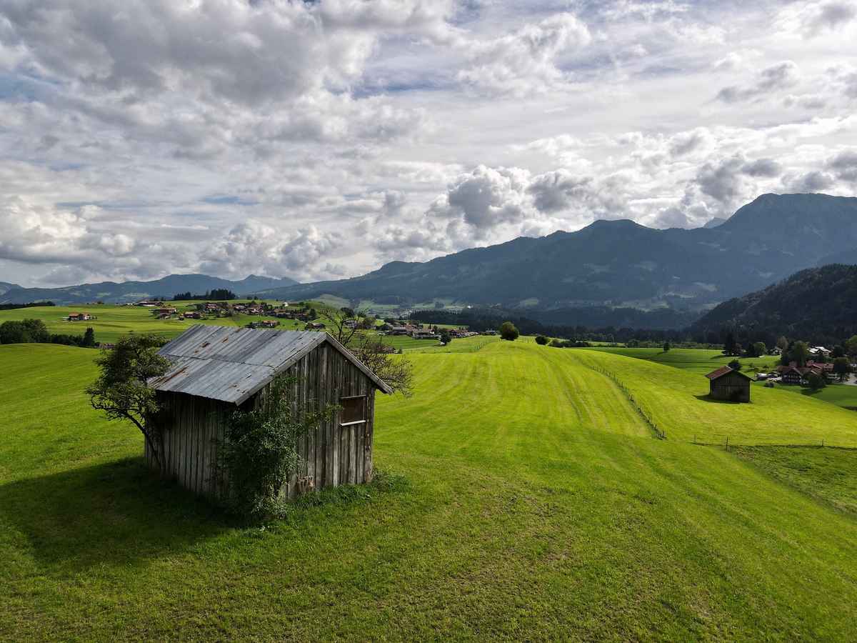 Bergwiesen im Allgäu