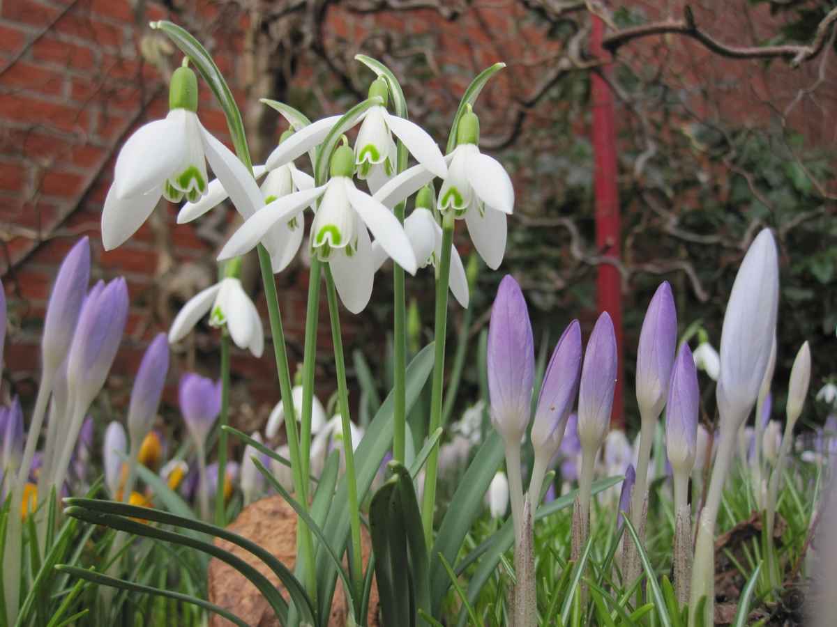 Endlich Frühling!