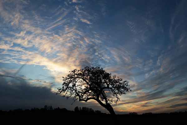 bewegter abendhimmel 1