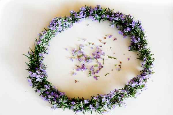 Kranz aus Rosmarinblüten