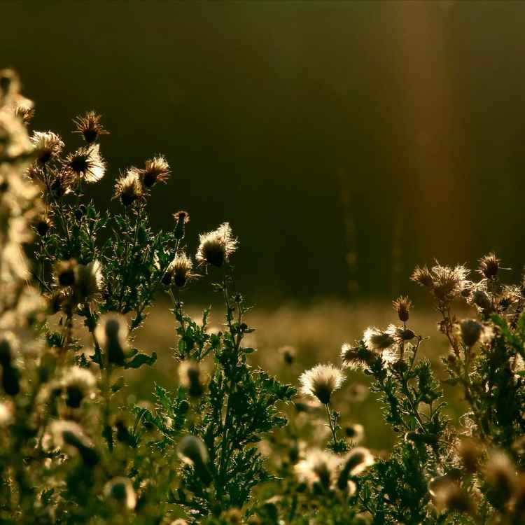 Herbstfarben