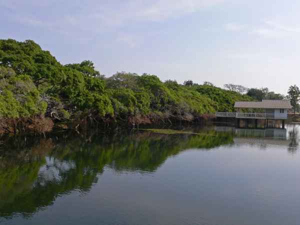 Sai Ngam Park, Phimai, Thailand