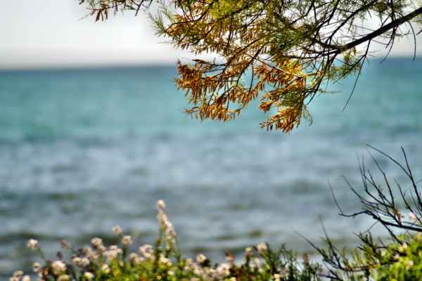 strand mit meer