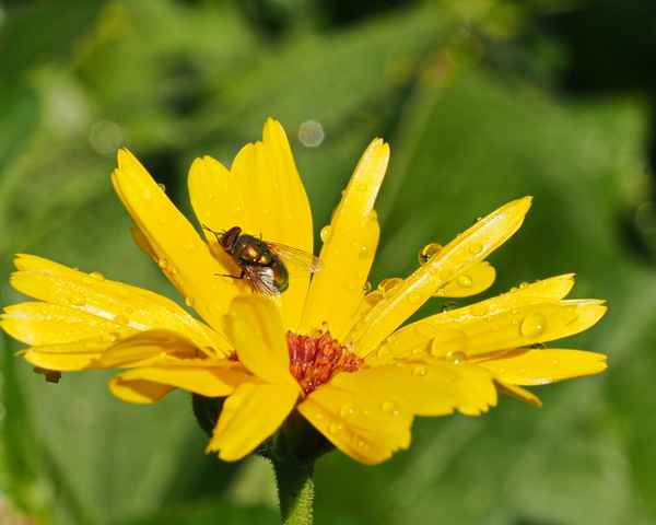 nach regen folgt sonne