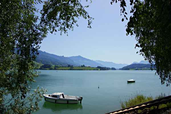 Am Lac de la Gruyère