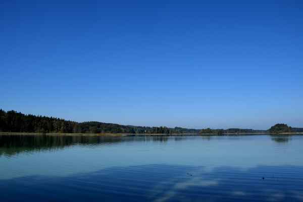 (Fast) nur blau