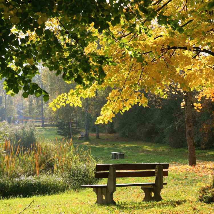 Herbst am Sandbühlsee_5