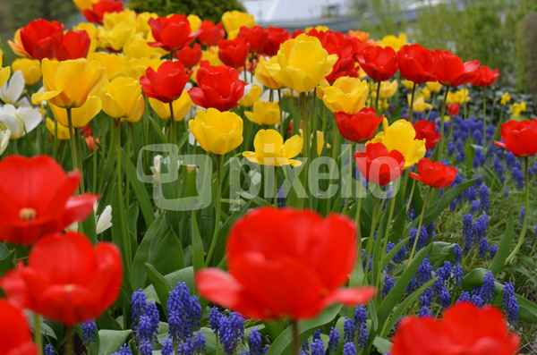 bunte vielfalt
