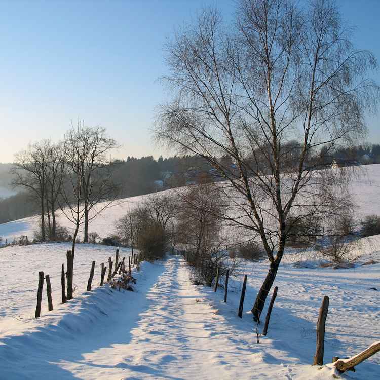 Winterlandschaft im Bergischen Land 2