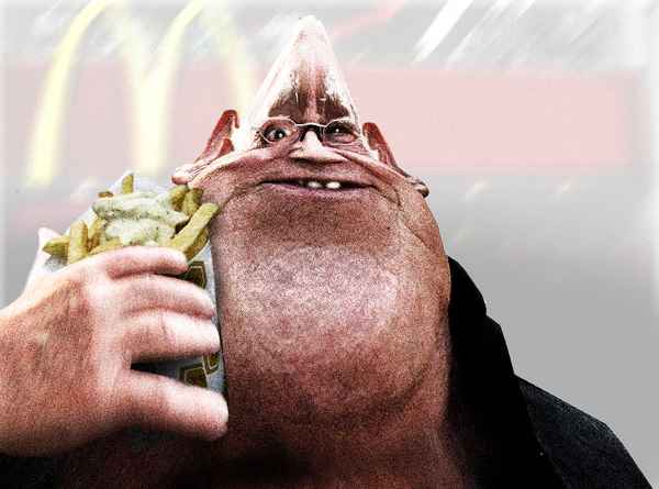 Junkfood lässt Gehirn schrumpfen