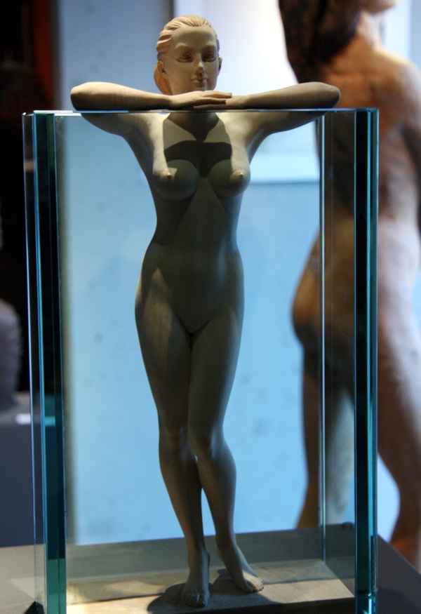 Die Frau hinter Glas