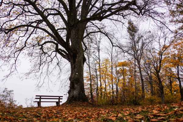 Nachdenken und Stille