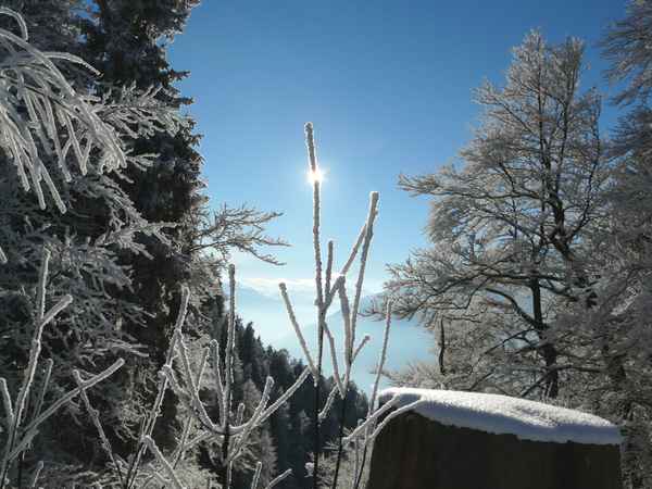 Siehe, ein Stern zeigt den Weg