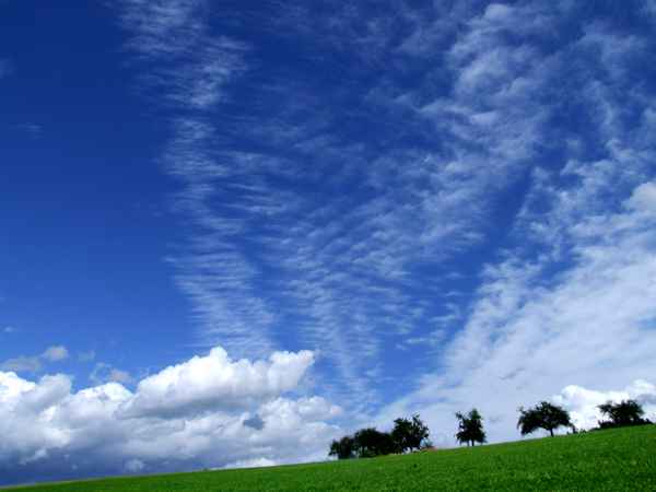 Himmel und Grün