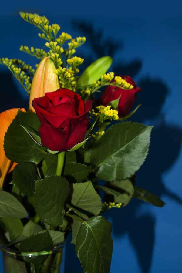 ein blumenstraüß