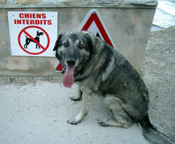 Bäh, man verbietet mir gar nichts