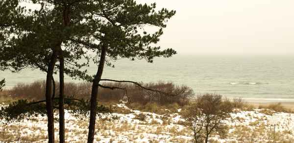 Ostseelandschaft