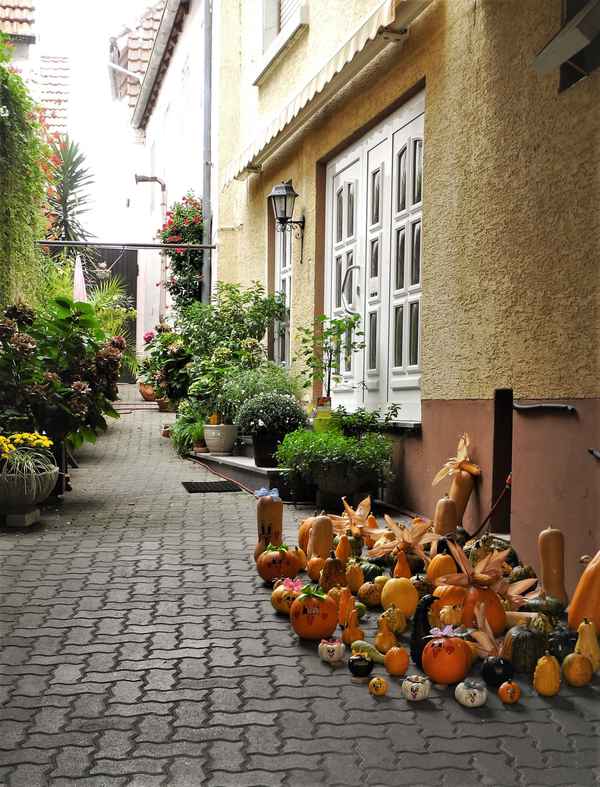 Kürbiskunst