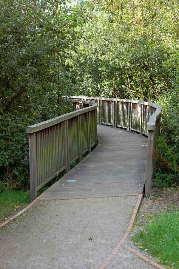 Hölzerne Fußgängerbrücke im Binzer "Park der Sinne"