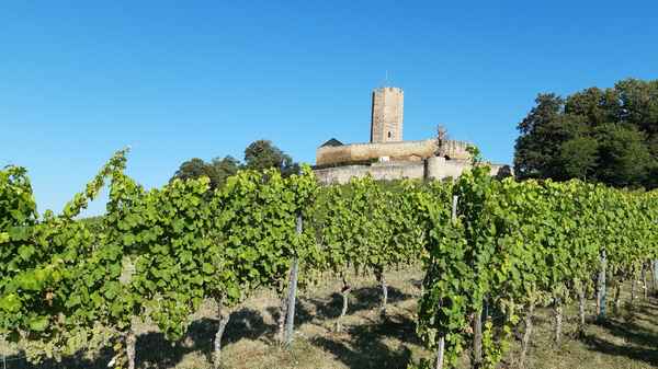 Burg Steinsberg I