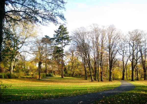 Herbst im Park
