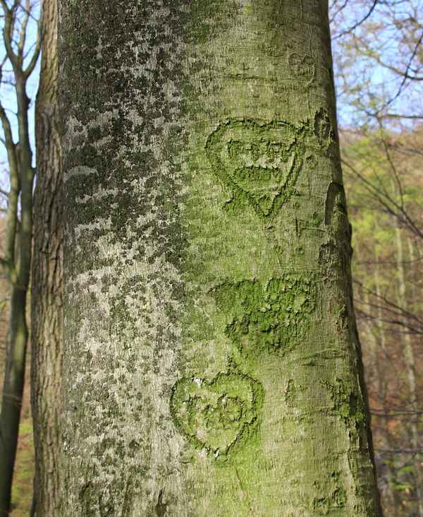 auch heute noch so verliebt ...?