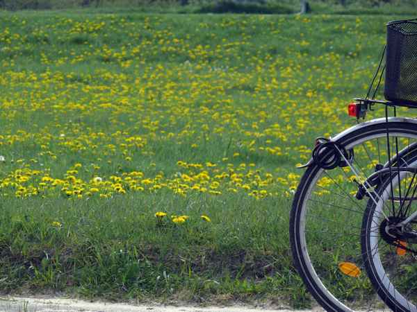FahrRad
