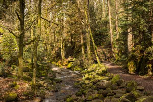 im Tal.....wo der Wildbach rauscht...2...