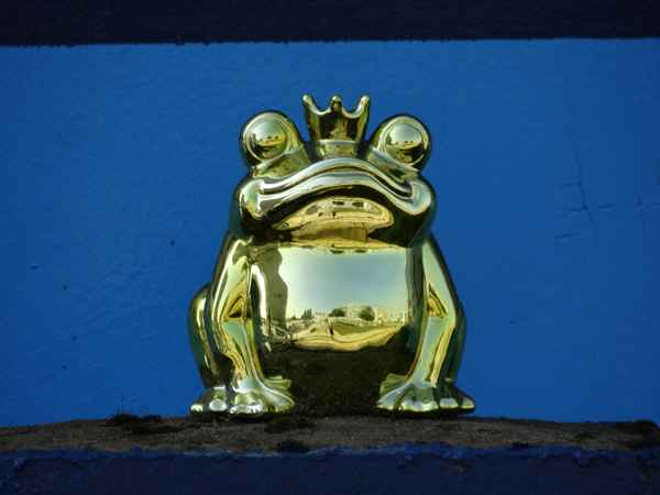 Goldiger Froschkönig