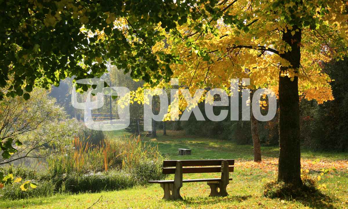 Herbst am Sandbühlsee_5