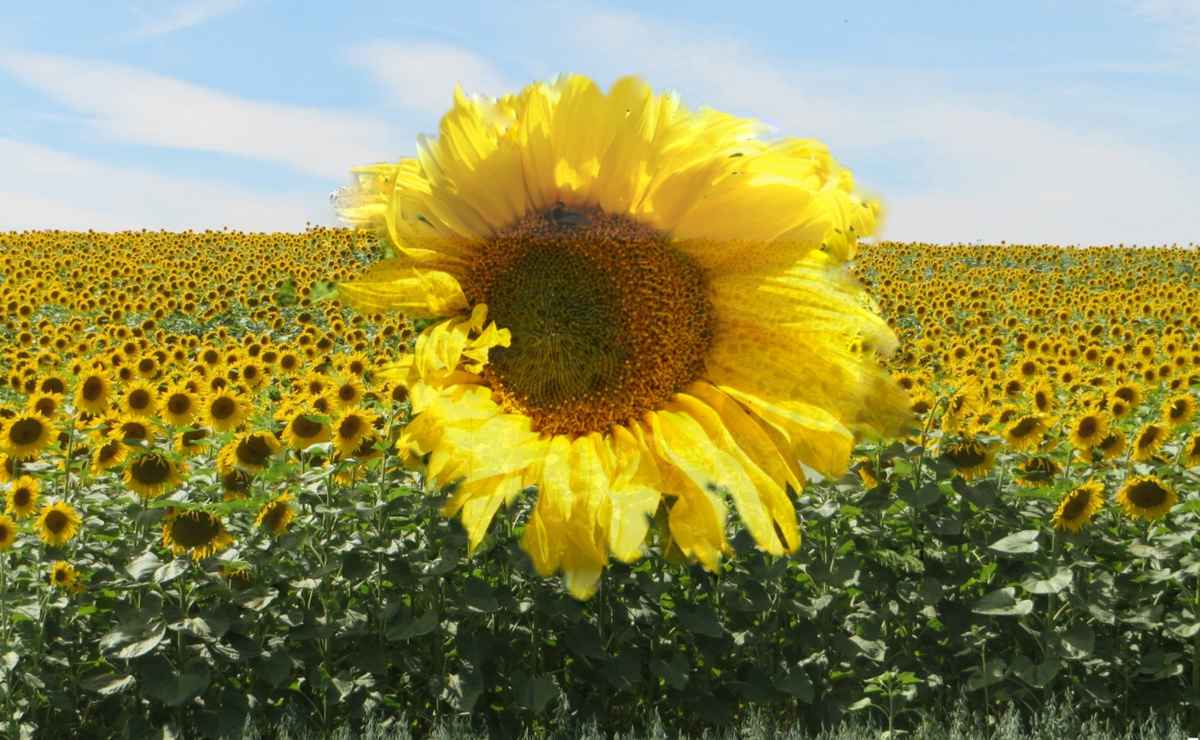 Nichts wie weg hier.....