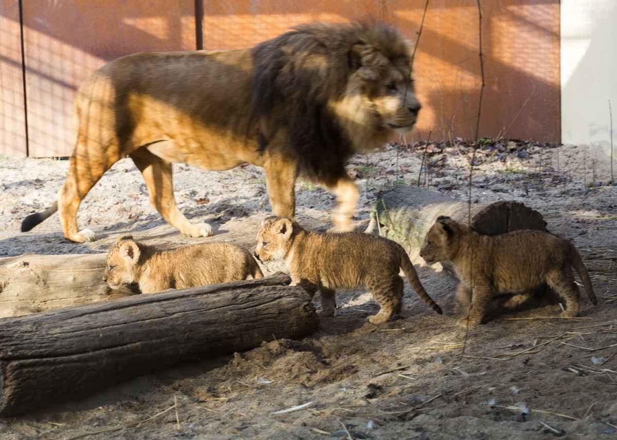 Da bleib ich lieber weg