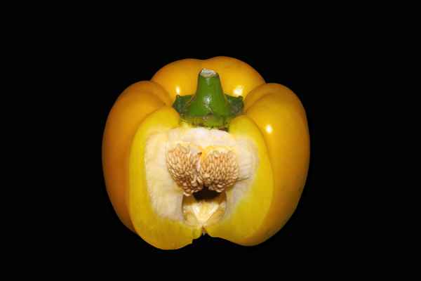 Paprika 70