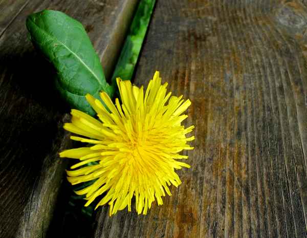 Die Ruhebank ist besetzt