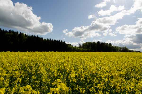 Eigentlich haben wir Frühling