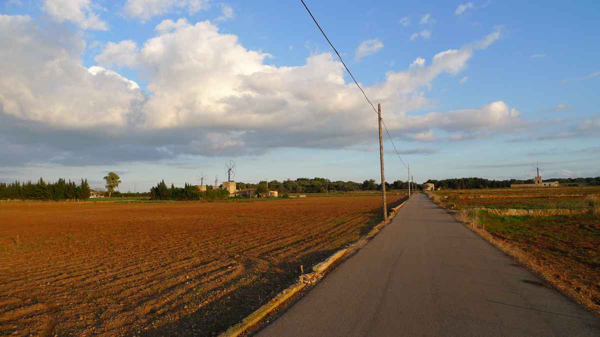 Herbstlandschaft auf Mallorca
