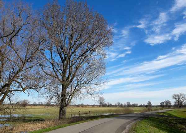 Frühling startet durch