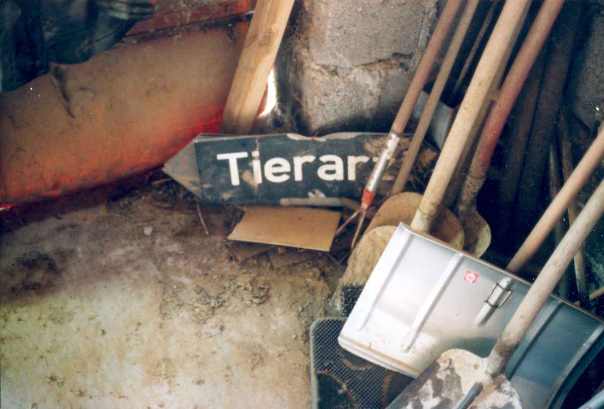 tierarzt