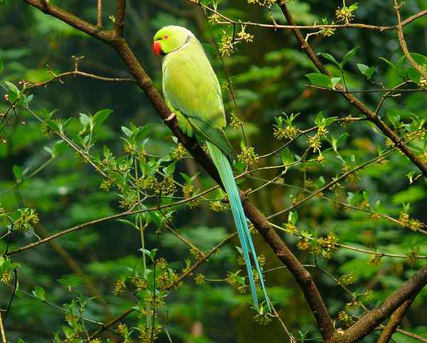 Im Düsseldorfer Hofgarten 2