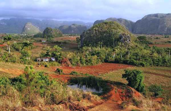 Vinales Tal