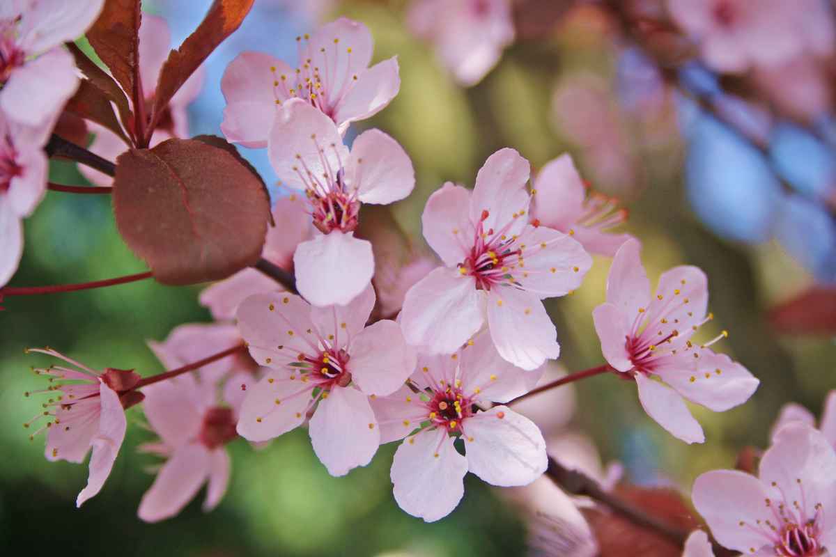 Frühlingsstimmung in zartem Rosa