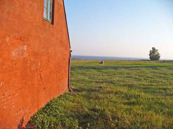 red house