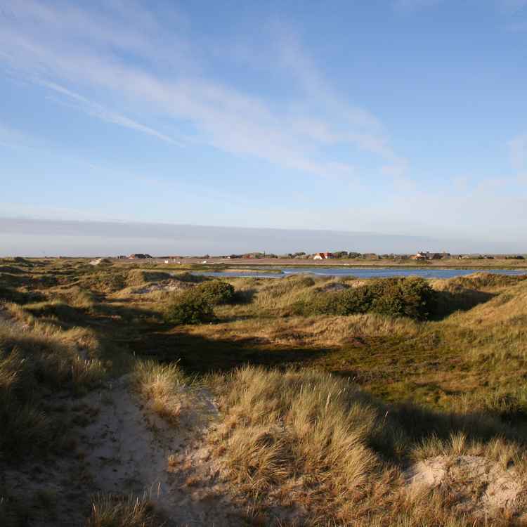 Dünen2