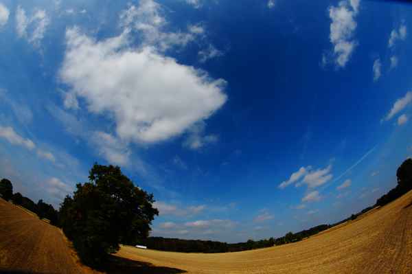 Morgens um 11 mit 2 Promille