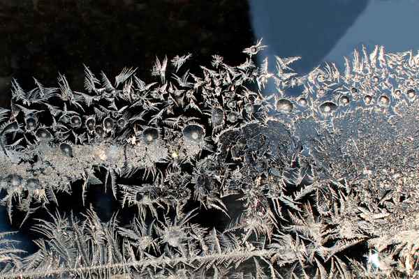 Eisblumen